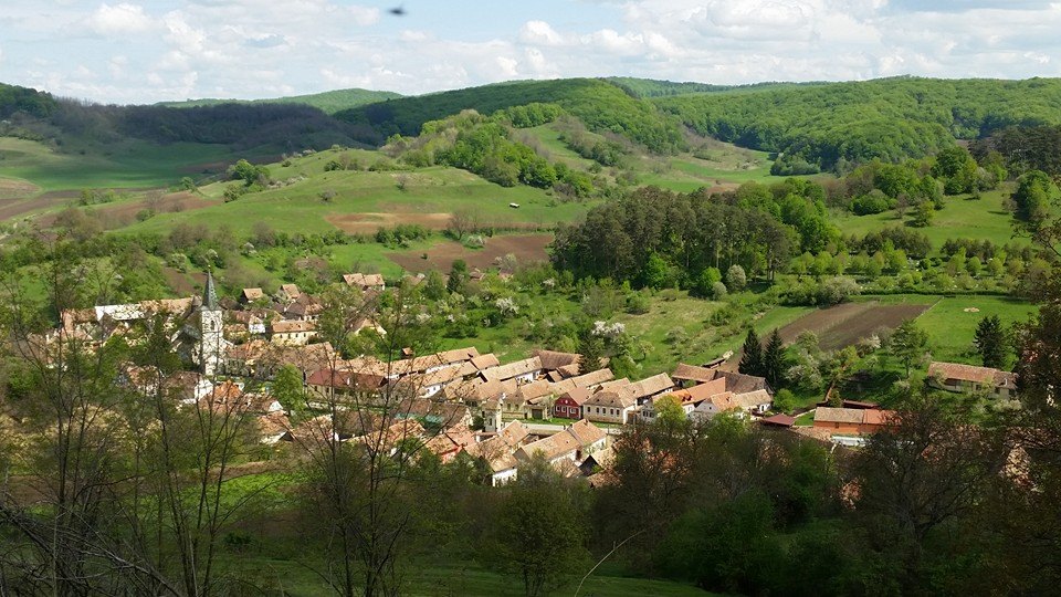 Festivalul transilvănean al cărții se va desfășura la Richiș în luna septembrie